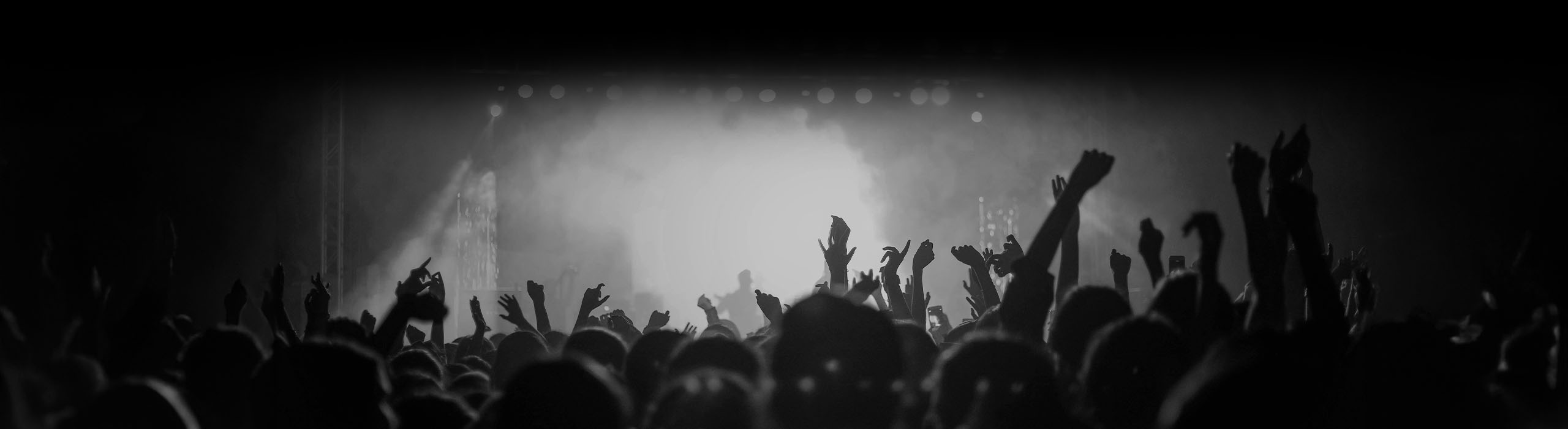 Event Security / Stewarding